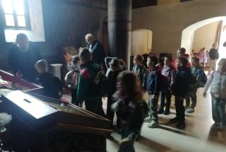 IMG-5ed9cfcb93a42e95428e3ea22142297d-V