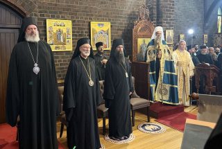 img-4254958