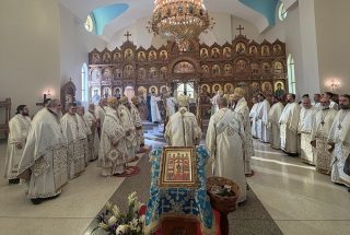 img-4629315