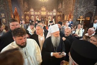 img-7605507